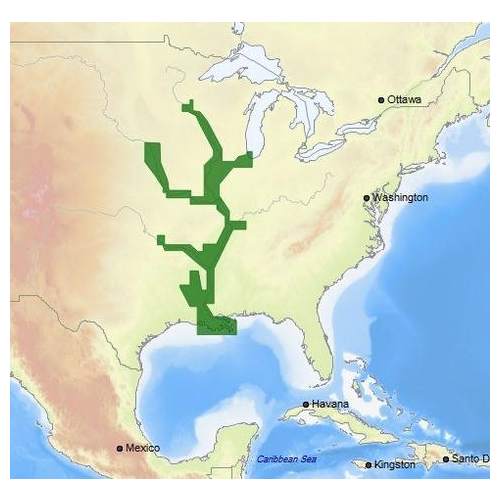 C-MAP 4D NA-D038 US Rivers: Mississippi, Red, Arkansas, Ouachita, Illinois, and Missouri Premium Nautical Chart - Marine Navigation microSD/SD Card (M-NA-D038-MS)