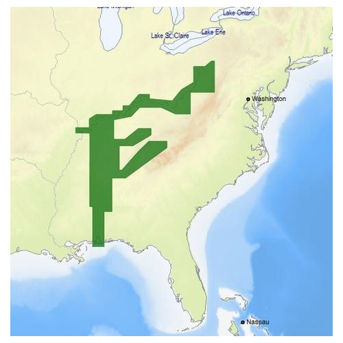C-MAP 4D NA-D039 US Lakes & Rivers: Ohio, Tennessee, Tombigbee, Cumberland Premium Nautical Chart - Marine Navigation microSD/SD Card (M-NA-D039-MS)