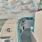 DS18 HYDRO 10" Subwoofer with RGB Lights - 600W - Carbon Fiber (CF-10SUB)