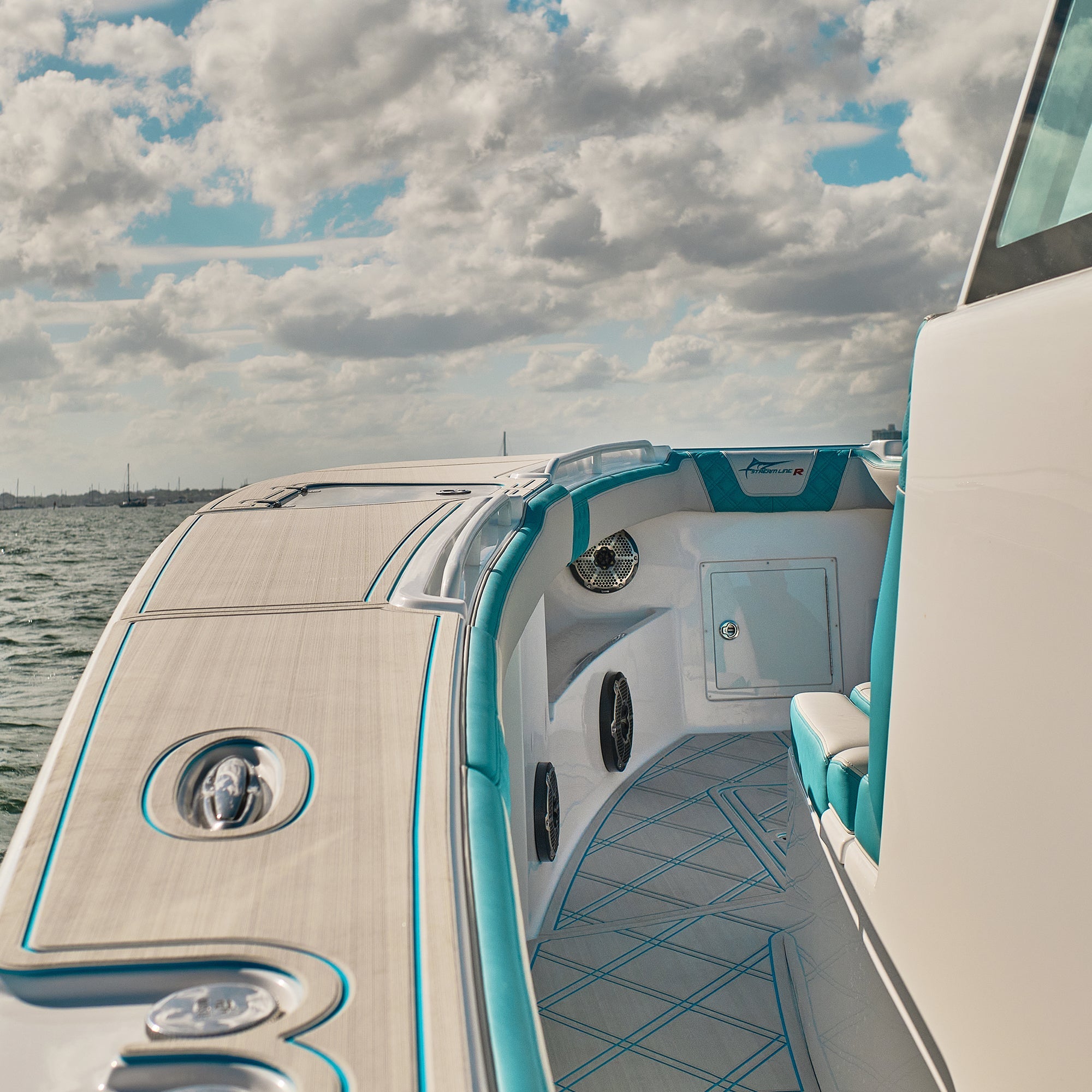 DS18 HYDRO 10" Subwoofer with RGB Lights - 600W - Carbon Fiber (CF-10SUB)