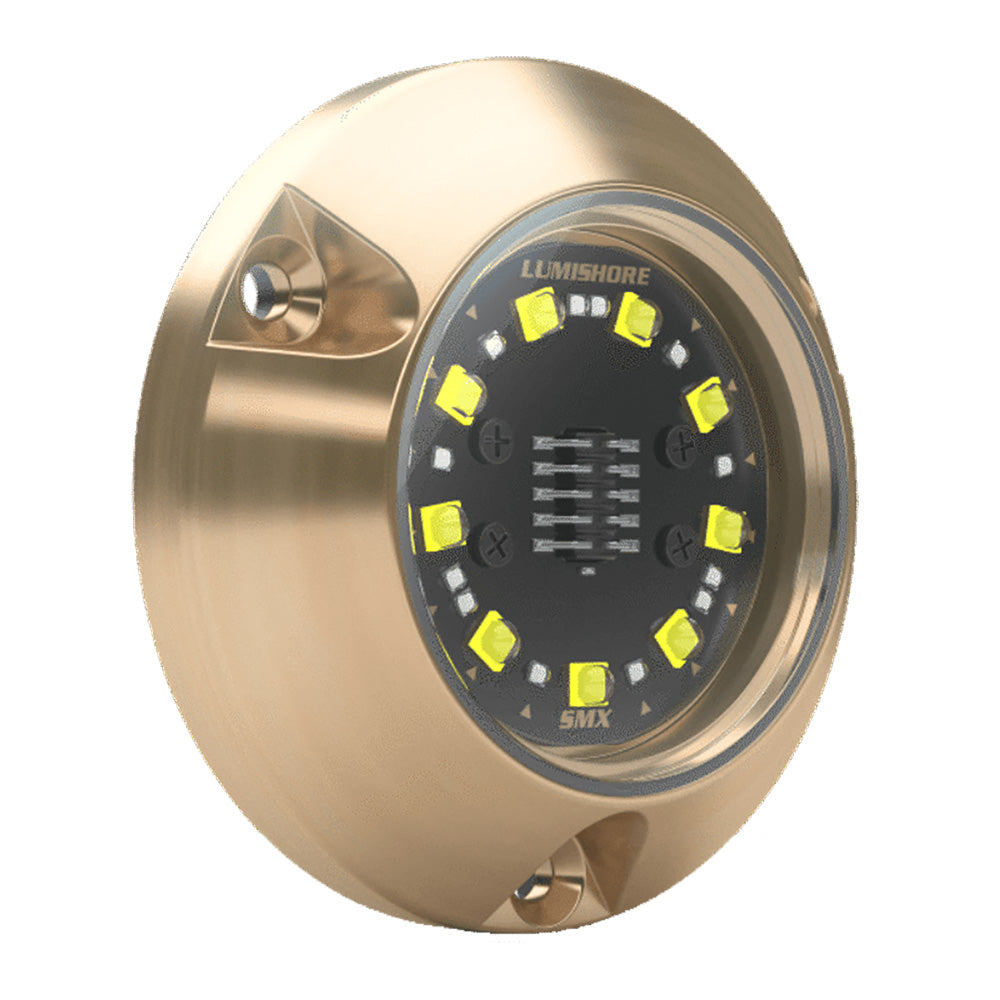 Lumishore ECLIPSE SMX24 3,100 Lumen White 90° Surface-Mount Underwater LED Light, 12V (60-0532, 010-04503-00)