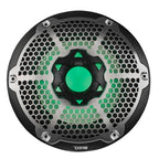 DS18 NXL-10SUB/BK HYDRO 10" 300W RMS 4-Ohm Marine Subwoofer with RGB LED Lighting, Black